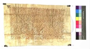 Vidimus der Stadt Hall über die Urkunde Kaiser Ludwigs über die Erneuerung und Konfirmation der Privilegien und Freiheiten des Klosters Comburg vom 9. März 1335
