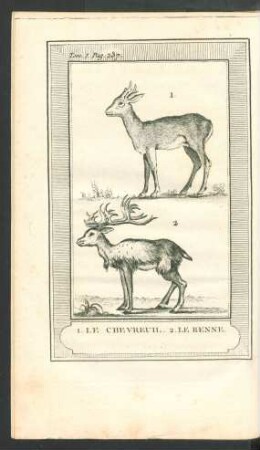 Tafel: Le Chevreuil, le Renne.
