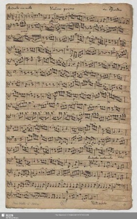 Violino primo