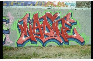 NADiNE