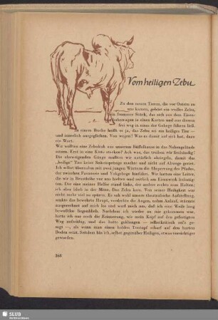 Vom heiligen Zebu