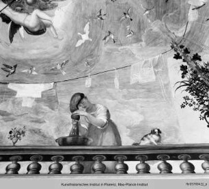 Wand- und Deckendekoration : Wappen der Medici mit Vögeln und Frauen an einer Balustrade