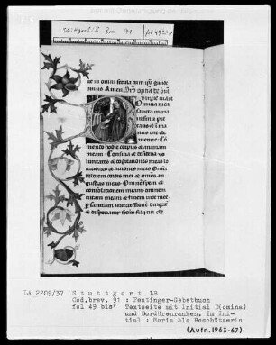 Gebetbuch des Konrad Peutinger — Initiale D (omina mea), darin Maria als Beschützerin, Folio 49verso