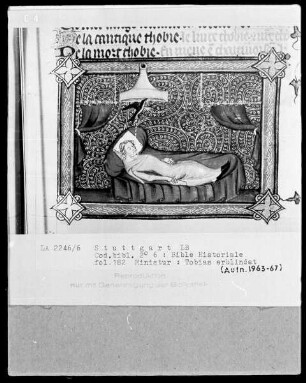 Bible Historiale — Tobias Erblindung, Folio 182recto