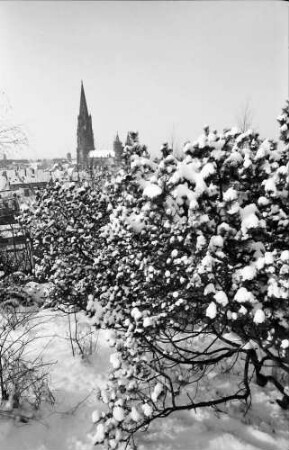 Freiburg: Blick vom Schlossberg auf verschneite Sträucher und Münster