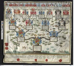 Truchseß von Waldburg, Jakob Mangold Graf