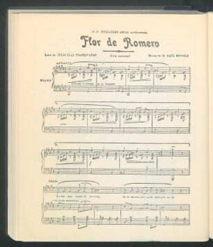 Flor de romero