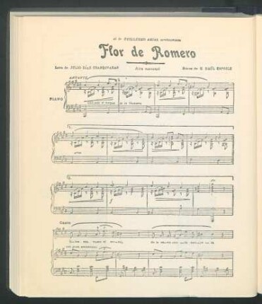 Flor de romero