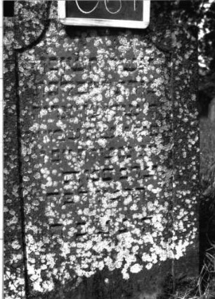 Grabstein 664 (Index: 100104918) Material: Sandstein Zustand: stark bewachsen, gut erhalten Maße HxBxT: 115x61x9 cm Beschreibung: Stele, eingezogener Rundbogenabschluss, Schriftfeld eingetieft mit Konvexbogenabschluss: Grabstein 664 (Detailaufnahme)