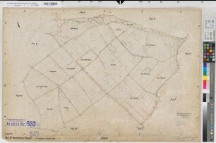 Dingden (Hamminkeln), Flurbereinigung Dingden, Bl.10 Zuteilungskarte Flur 10