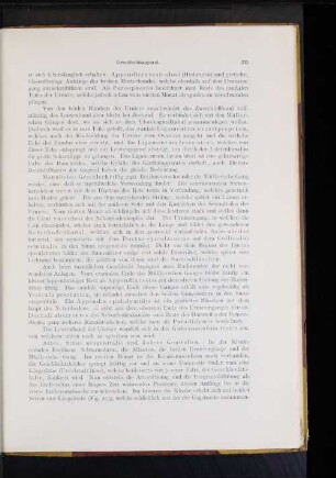 After, Sinus urogenitalis und äußere Genitalien.