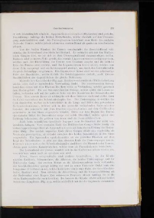 After, Sinus urogenitalis und äußere Genitalien.