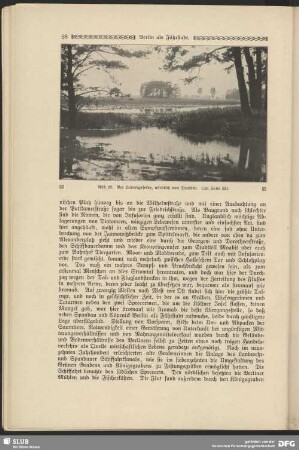 Bei Ludwigsfelde, nördlich von Trebbin