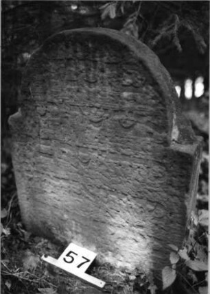 Grabstein 57 (Index: 99804157) Material: Sandstein Zustand: unten verwittert Maße HxBxT: 76x60x12 cm Beschreibung: Stele mit eingezogenem Rundbogen: Grabstein 57