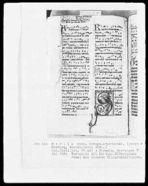 Missale — Initiale S(uscepimus deus), Folio 195verso