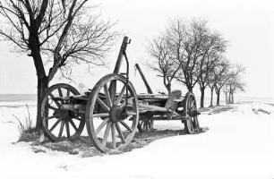 Leiterwagen II : Abbildung eines alten, kaputten Leiterwagens aus Holz, der in einer verschneiten Landschaft, einem Acker mit Bäumen steht