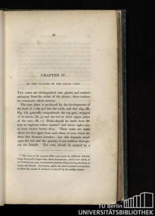 Chapter IV. On the culture of the sugar cane