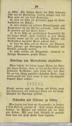 Sperlinge von Gartenbeeten abzuhalten