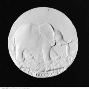 Medaille der Isotta degli Atti, Revers: nach rechts schreitender Elefant auf einer Wiese