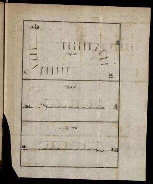 Fig. XV. - Fig. XVII.