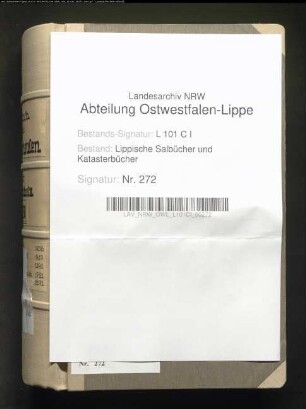 Salbuch der Vogtei Hohenhausen von 1824, Bd. 2