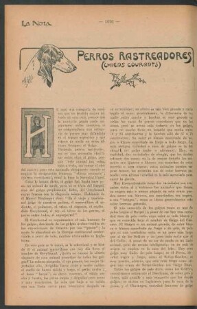 Perros rastreadores : (Chiens courants)