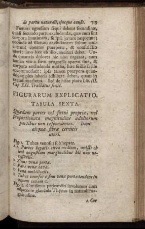 Figurarum Explicatio. Tabula Sexta.