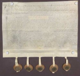 Instrumentum probationis des Ernst Friedrich Twickel von Havixbeck.