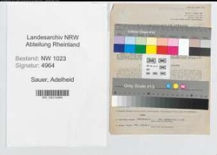 Entnazifizierung Adelheid Sauer , geb. 27.06.1914 (Studienassessorin)