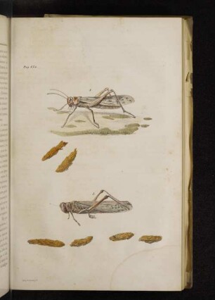 Pag. 154
