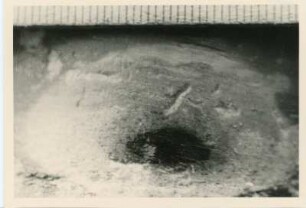 Bohrkern der Tiefenbohrung Freital (F 8 E), Teufe (Tiefe im Bergwerk) 204 m. Gebänderte Feinklastite, Bleichhof in Silt (Sandschiefer). Nördlich von Bannewitz, alte Kiesgrube