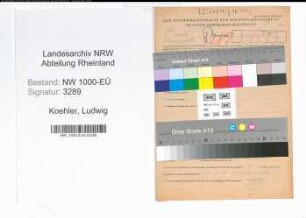 Entnazifizierung Ludwig Koehler, geb. 19.03.1901 (Waldarbeiter)