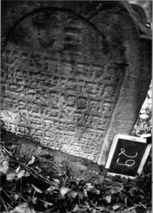 Grabstein 29 (Index: 99804104) Material: Sandstein Zustand: verwitt/eingesunken Maße HxBxT: 93x73x11 cm Beschreibung: Stele mit eingezogenem Rundbogen und profiliertem Rand: Grabstein 29 (Nachholaufnahme)