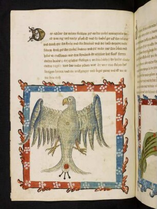 Adler
