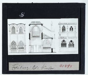 Freiburg, Münster : Aufrisse, Schnitt (Langhaus)