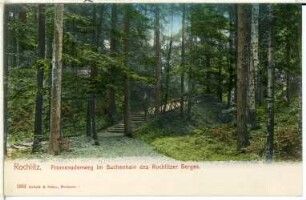 Rochlitz. Promenadenweg im Buchenhain