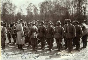 Oberstleutnant v. Cleve; Großherzog Friedrich Franz IV; Nitzschke, Karl