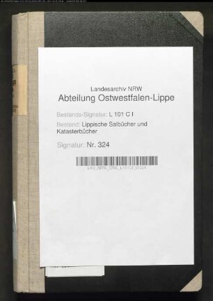 Salbuch der Stadt Lemgo von 1861, Bd. 2