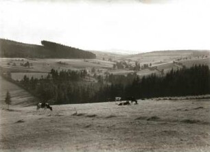 Osterzgebirge. Oberes Müglitztal bei Fürstenwalde-Müglitz. Blick nach Süd zum Kamm mit Mückentürmchen (Komári hurka/Tschechien)