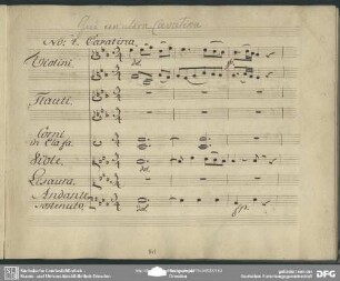 Cavatina: "Cerco l'amato oggetto"