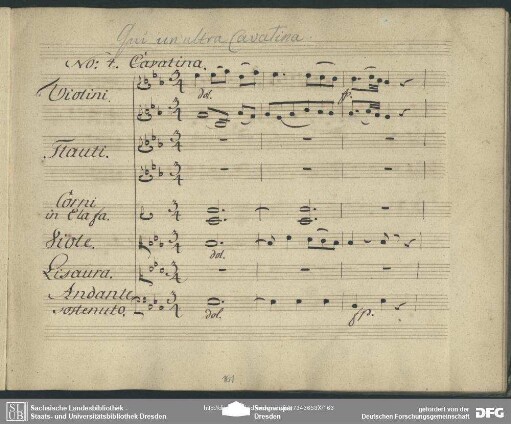 Cavatina: "Cerco l'amato oggetto"