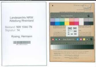 Entnazifizierung Hermann Rosing , geb. 04.07.1892 (Transportunternehmer)