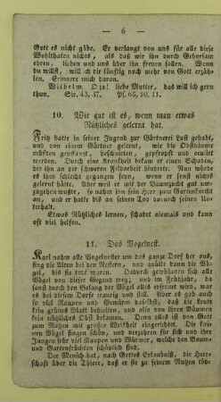 11. Das Vogelnest