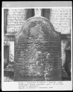 Grabstein des Moses Auerbach (gestorben 1843.10.13)