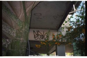 SBK