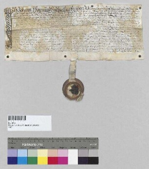 Johann Warmund von Preysing, Freiherr zu Altenpreysing etc., Rat und Pfleger zu Vilshofen, belehnt Wilhelm [Mohn], Hofapotheker zu Landshut, mit Zehnten zu Schaumburg, Reithofen, Schwatzkofen (Schwärzkhofen) und Oberpettenbach. S: Johann Warmund von Preysing, Freiherr zu Altenpreysing etc., Rat und Pfleger zu Vilshofen