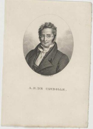 Bildnis des A.P.De Candolle