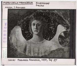 Piero della Francesca: Engelskopf, Arezzoo, SAn Francesco