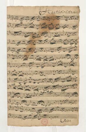 Oboe d'amore