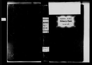 Kuppenheim, israelitische Gemeinde: Geburtenbuch 1814-1869